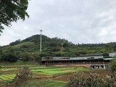-全汁全味驴庄(凤岗店)