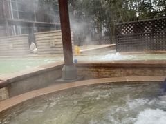 -春晖园度假酒店温泉