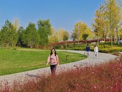 -汉长安城未央宫国家考古遗址公园