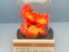 -岳阳市博物馆
