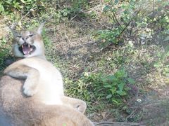 -泉州海丝野生动物世界