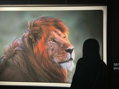 -罗红摄影艺术馆