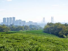 -敬亭山风景名胜区