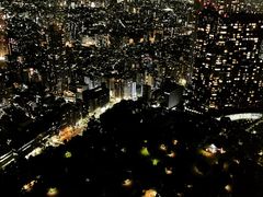 -东京都厅舍