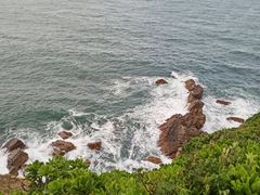 -杨梅坑