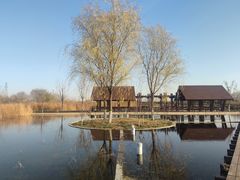 -永定河休闲森林公园