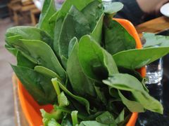 -三里屯土灶炖公鸡地锅鸡(江东店)