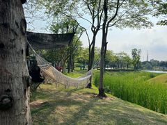 -王借岗森林公园