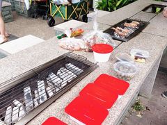 -吴淞炮台湾湿地森林公园烧烤区