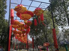 -武汉园博园(武汉自然博物馆)