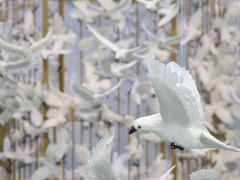 -上海宝龙美术馆