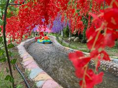 -尚湖风景区