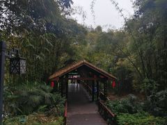 -天赐温泉