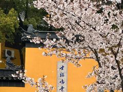 -鸡鸣寺