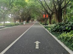 -南宁南湖公园