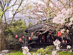 -铁像寺水街