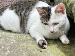 -宁波市保国寺古建筑博物馆