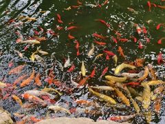 -南通洲际绿博园