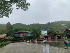 -海南槟榔谷黎苗文化旅游区