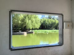 -团结湖公园
