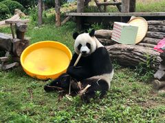 -大连森林动物园