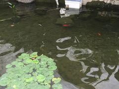 -汤山翠谷生态餐厅
