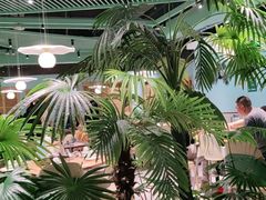 -春润大地海南椰子鸡(沙井京基百纳广场店)