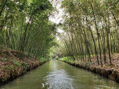 -同里国家湿地公园