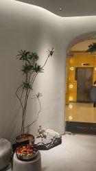 点击看大图 -3AM·S HAIR SALON烫发染发接发