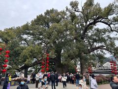 -新安江山水画廊风景区