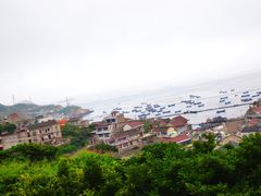 -枸杞岛