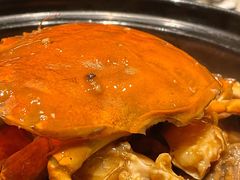 -皇朝会.经典传统粤菜(外滩店)