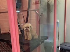 -FAELING PETS美天灵宠物(合生汇店)