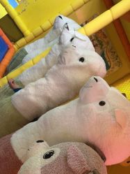 -宝燕乐园(闵行旗舰店)