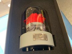 -ROSEONLY诺誓(国际广场购物中心店)