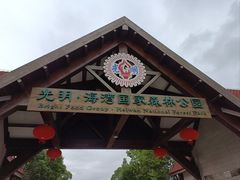 -上海海湾国家森林公园