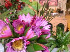 -PlantsEatery·植物食堂(REX春熙店)