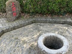 -上海佘山国家森林公园天马山园