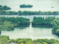 -中国茶叶博物馆(双峰馆区)