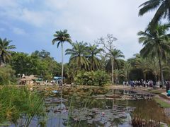 -中国科学院西双版纳热带植物园