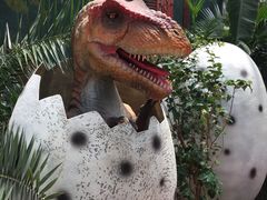 -呀路古热带植物园