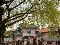 -广东圆玄道观