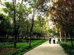 -洛阳市隋唐城遗址植物园