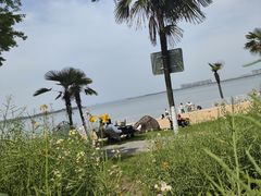 -瑶湖湿地自然保护区