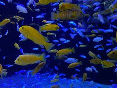 -成都浩海立方海洋公园