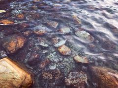 -西涌国际滨海旅游区