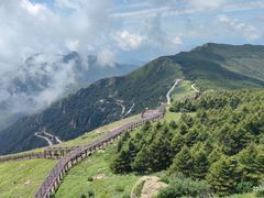 -白草畔自然风景区