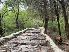 -阳台山自然风景区