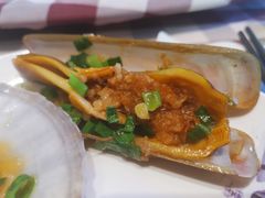-红星渔村(将军石店)