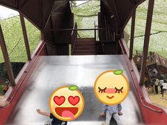 -黄龙溪欢乐田园